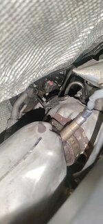 IMG_20230329_221631.jpg