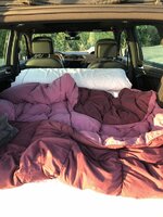 IMG_8932.jpeg