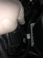 IMG_8917.jpeg