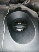IMG_20230703_141528.jpg