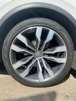 IMG_0503.jpeg