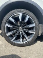 IMG_0502.jpeg