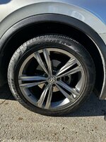 IMG_4175.jpeg