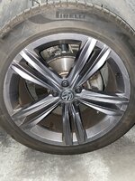 IMG_8065.jpeg