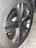 IMG_8066.jpeg
