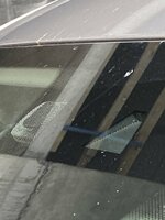 IMG_5346.jpeg