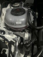 IMG_0708.jpeg