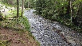 IMG20240701152749.jpg
