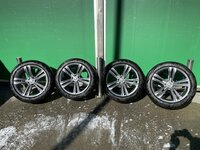 IMG_1691.jpeg