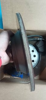 20241009_115527.jpg