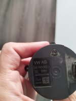 IMG_20241018_161147.jpg