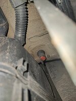 IMG_20241020_173715.jpg