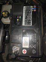 IMG_20241111_090817.jpg