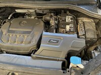 IMG_0128.jpeg
