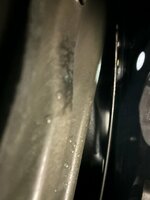 IMG_3482.jpeg