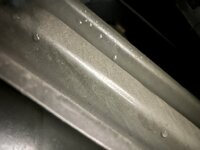 IMG_3484.jpeg