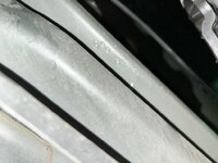 IMG_3485.jpeg