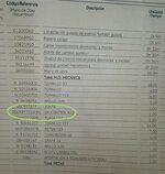 IMG_1082.jpeg