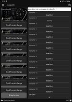 Screenshot_20250125_173609_OBDeleven.jpg