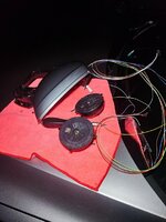 IMG_20250126_162045.jpg