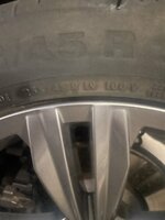 IMG_8308.jpeg