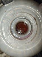IMG_20250204_004914.jpg