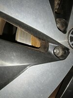 IMG20250321180725.jpg