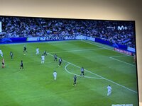 IMG_1234.jpeg