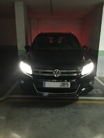 IMG_3076.JPG