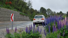 DSC_9187.JPG