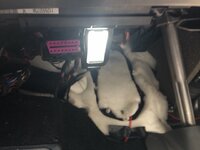 image6.jpeg