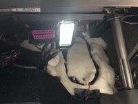 image7.jpeg