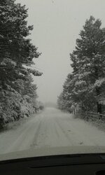 20150131_130855.jpg
