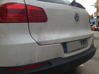 IMG_3630.JPG