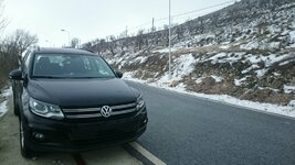 DSC_0317_1.jpg