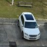 Israeltiguan13