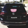 WastedV8