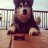 Geluco_dx